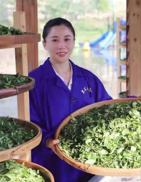 【梧州工匠】石濡菲：擇一茶，修一技，終一生