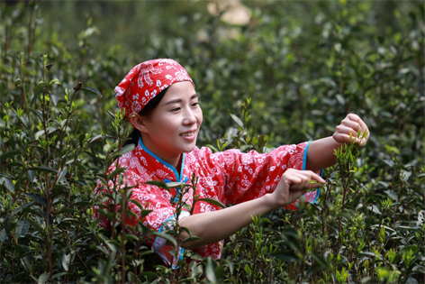 2022年“全國十佳農(nóng)民”揭曉 全國勞模石濡菲上榜！