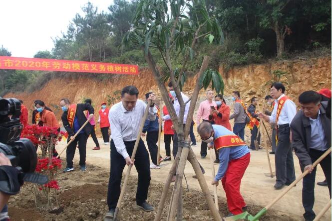 植樹造林，這群楷模這樣做