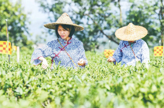 國(guó)家批復(fù)同意，梧州籌建！