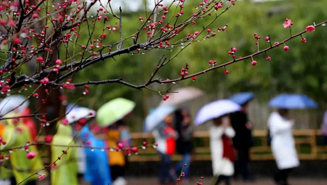 今日雨水！別忘了咱的老講究！