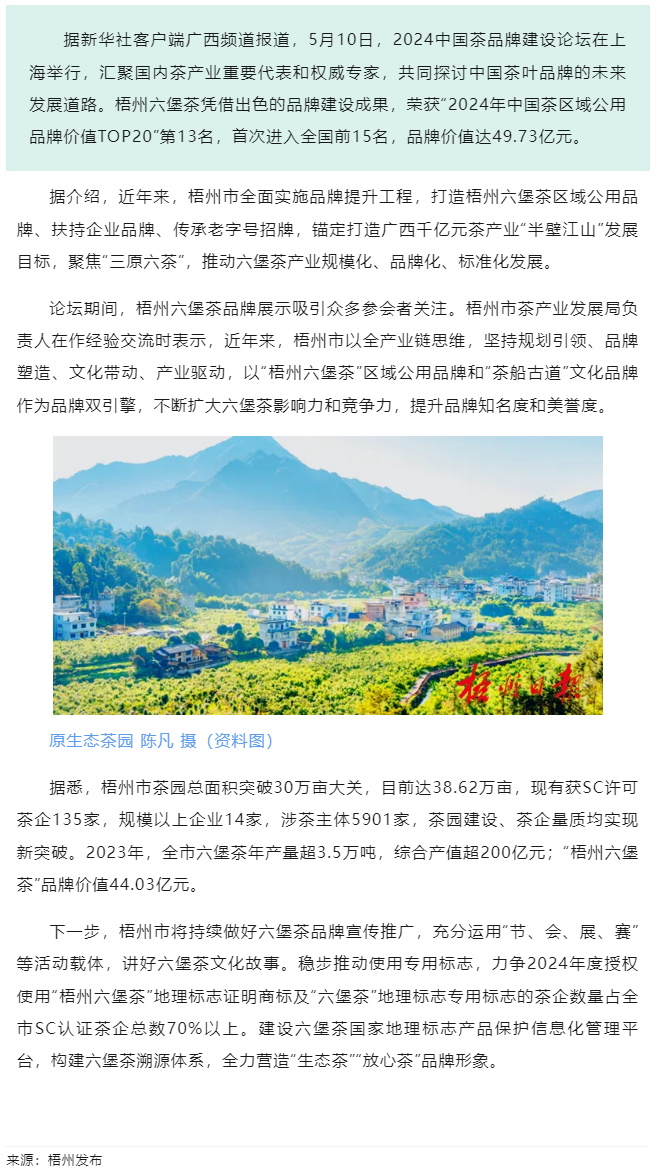 排名全國第13名！&ldquo;梧州六堡茶&rdquo;品牌價值實現(xiàn)新突破.png