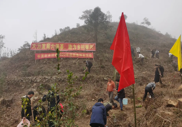 岑溪市總工會(huì)開展迎新春種茶活動(dòng)