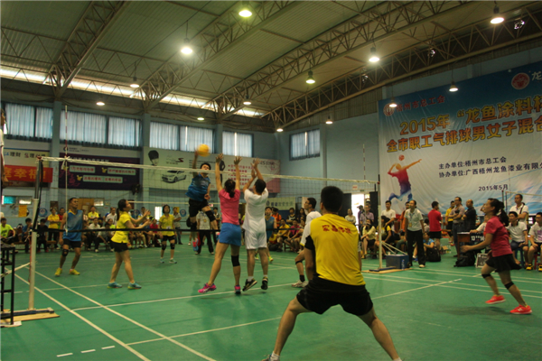 梧州市總工會舉辦2015年&ldquo;龍魚涂料杯&rdquo;全市職工氣排球男女子混合比賽--祝迪攝.jpg